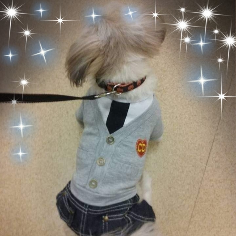 Meet your Posher, Kathy